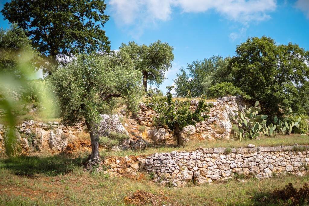Villa Trullo Caelum Alberobello Exterior foto